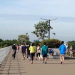 Come la camminata decide cosa mangiare a cena: il legame tra ritmo dei passi e decisioni alimentari come-la-camminata-decide-cosa-mangiare-a-cena-il-legame.jpg