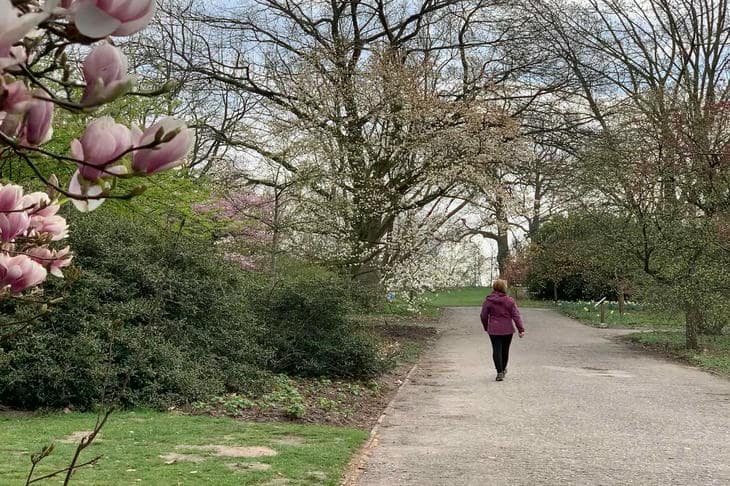 Perché 10.000 passi sono solo un bel numero: cosa dice la scienza sulla nostra norma quotidiana