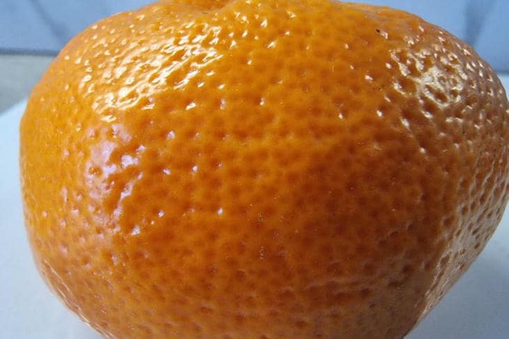 Perché la buccia d’arancia rimane in tavola: una risposta gustosa alla domanda di pulizia